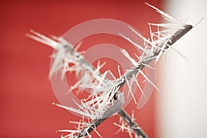 Frozen Wire Fence on a Cold Morning