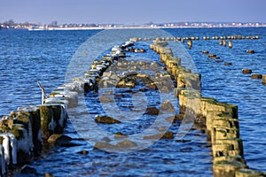 Frozen wooden breakwaters line at Baltic Sea