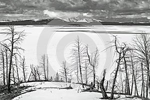 Frozen Yellowstone Lake landscape in Traditional Black and White