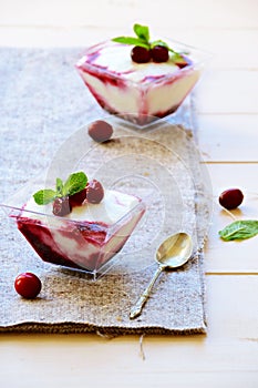 Frozen yogurt dessert with cranberry
