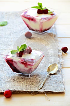 Frozen yogurt dessert with cranberry