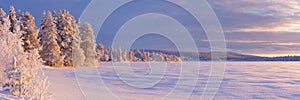 Frozen ÃâijÃÂ¤jÃÂ¤rvi lake in Finnish Lapland in winter photo