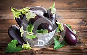 Frsh organic eggplant photo