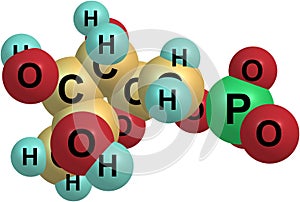 Fructose molecular structure on white background