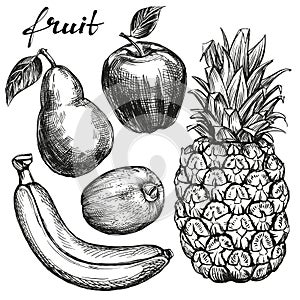 Frui set pear, apple, banana, kiwi, pineapple hand drawn vector sketch