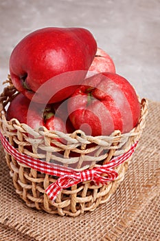 Fruit Acmella oleracea (jambu, toothache plant, paracress, elect