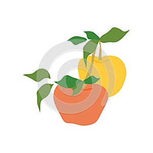 Fruit apple branch. Two apples hanging on branch with leaves. Flat food illustration, fruit tree, apple branch