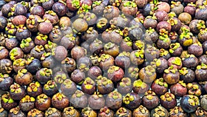 Fruit backdrop with densely packed mangosteen fruits at a market