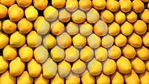 Fruit backdrop with neatly arranged yellow mangoes at a market