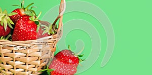 Fruit background. Red berries strawberries in a basket on a green background.
