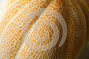 Ripe yellow melon close up, texture pattern of the rind