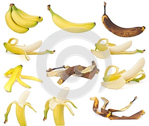 Fruit, Bananas