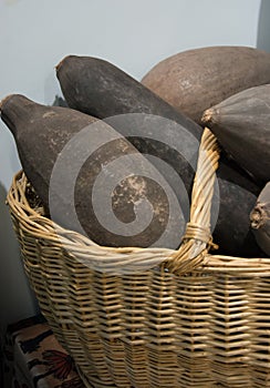 Fruit of the baobab is the fruit of the tree of life