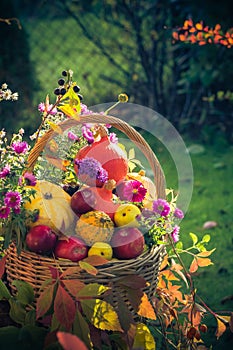 Fruit basket Autumn garden