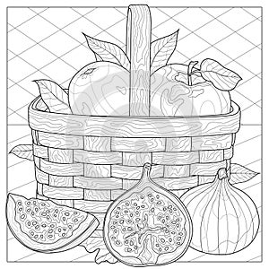 Fruit in a basket. Figs, apples and pear.Coloring book antistress for children and adults