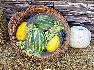 Fruit basket with melon, watermelon grapes,on straw