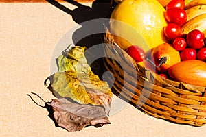 Fruit basket with textured background.