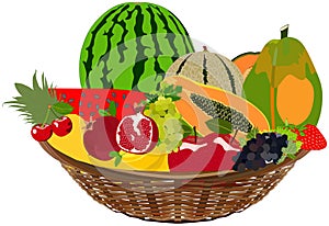 Fruit basket vector drawing on isolated background