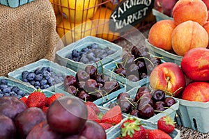 Fruit Baskets Farmers Market