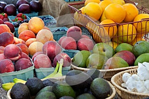 Fruit Baskets Farmers Market