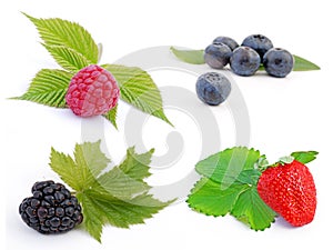 Fruit - berries
