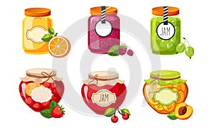 Fruit and Berries Jam Jar Glasses Set, Strawberry, Apricot, Raspberry, Orange, Cherry, Gooseberry Vector Illustration