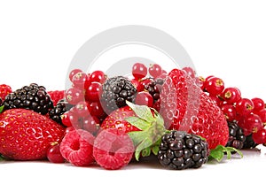 Fruit berries on white background