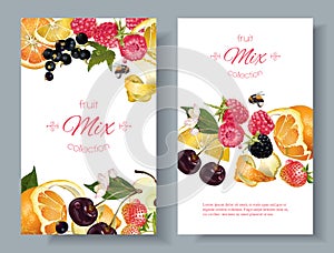 Fruit and berry banners