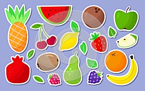 Fruit and berry cartoon sticker label icon set