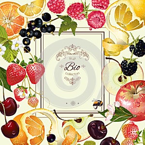 Fruit and berry frame