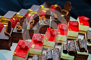 Fruit and berry tarts dessert tray assorted outdoors.