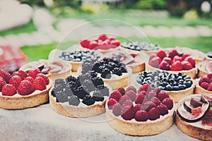 Fruit and berry tarts dessert tray assorted outdoors