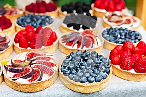 Fruit and berry tarts dessert tray assorted outdoors