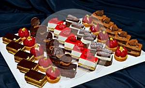 Fruit and berry tarts dessert tray assorted outdoors. Closeup of beautiful delicious pastry sweets with fresh natural blueberries