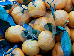 Fruit box with tangerines and green leaves