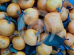 Fruit box with tangerines and green leaves