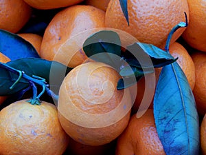 Fruit box with tangerines and green leaves