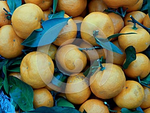 Fruit box with tangerines and green leaves