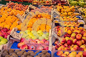 Fruit boxes with plums and peaches