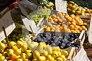 Fruit boxes with plums and peaches