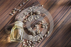 Fruit and castor oil on the wooden table