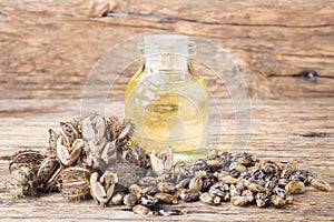 Fruit and castor oil on the wooden table