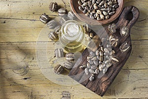 Fruit and castor oil on the wooden table