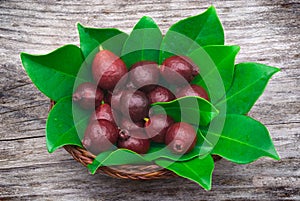 Fruit of Cattley guava or Peruvian guava (Psidium littorale susp. longipes).