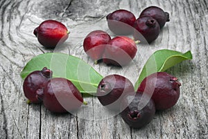 Fruit of Cattley guava or Peruvian guava (Psidium littorale susp. longipes). photo