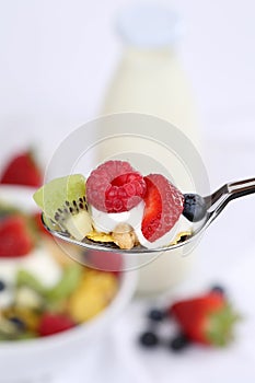 Fruit cereals on spoon with yogurt and milk
