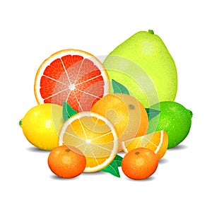 Fruit of citrus, set of citrus fruit. Citrus fruits