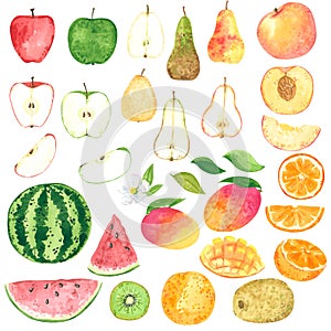 Fruit clipart set. Cartoon style