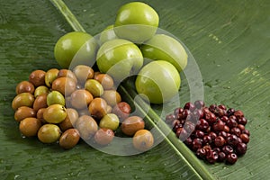 Fruit : Close up of Different Varieties of Indian Jujube Apple Isolated on Green Banana Leaf Background Shot in Studio