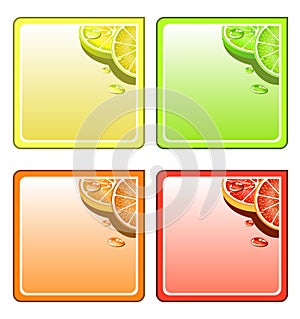 Fruit coaster set